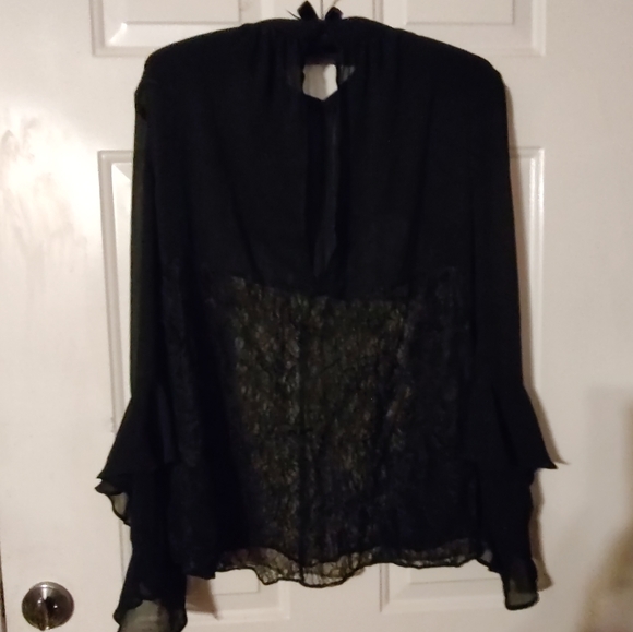🐈⬛ Divine VS Vintage Victorian Inspired Black Sheer Crepe & Lace Blouse - L - Picture 2 of 15